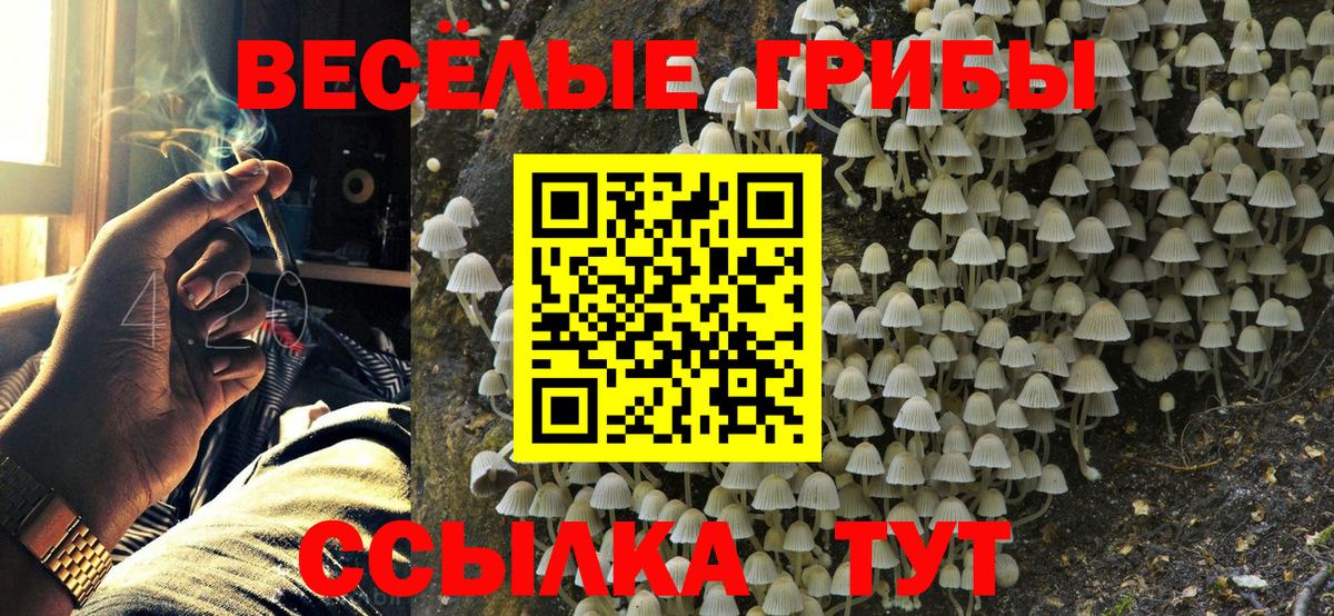 Кингисепп  Псилоцибиновые грибы мицелий  Галлюциногенные грибы Psilocybine cubensis  Вход с VPN 